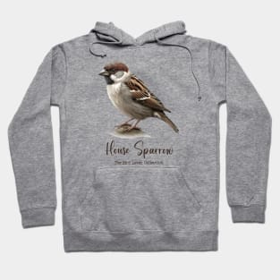 House Sparrow - The Bird Lover Collection Hoodie